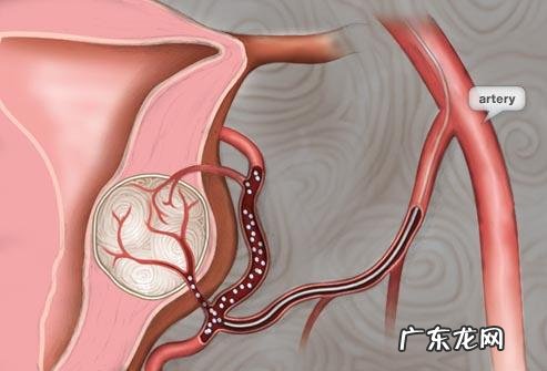 50岁的女士怎么保养身体