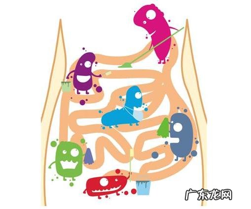 酸奶可以加热吗?