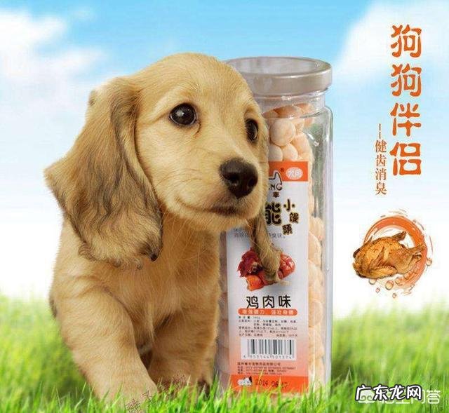 适合边境牧羊犬的零食有什么,牧羊犬吃什么零食好?