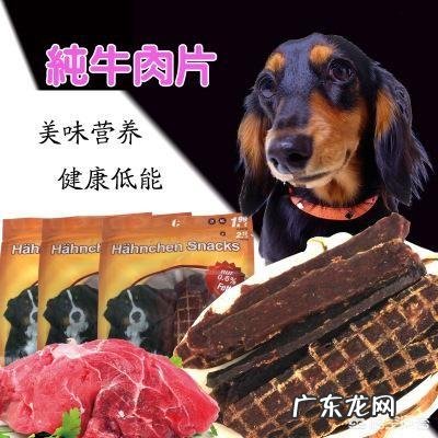 适合边境牧羊犬的零食有什么,牧羊犬吃什么零食好?