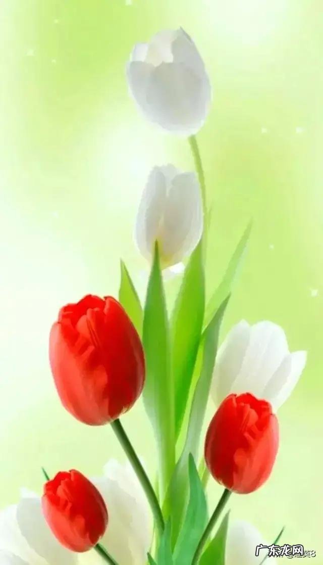 晚上干什么事会让你感到很舒适?