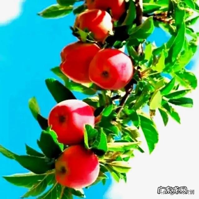 晚上干什么事会让你感到很舒适?