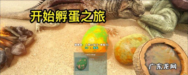 方舟蛋怎么孵化