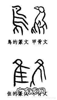 含有隹和鸟的字大多与什么有关?