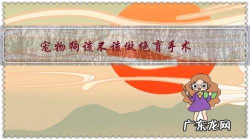 狗能不能做绝育手术 宠物狗该不该做绝育手术?