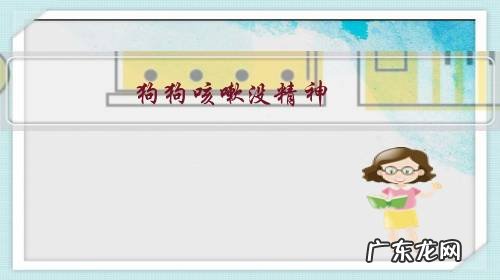 狗狗咳嗽没精神,还拉稀该怎么办?