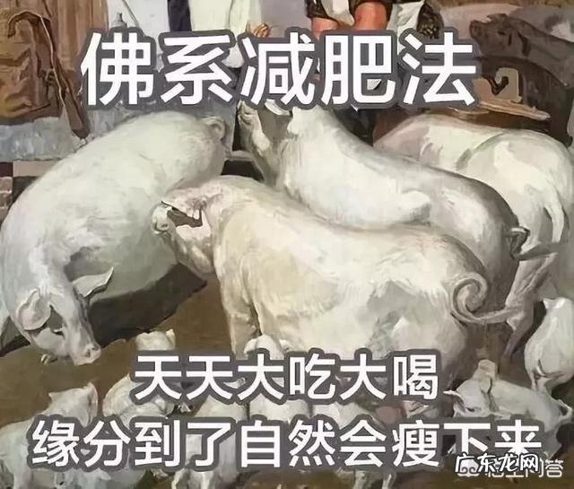 天天健身的人是什么心态支撑自己坚持下去