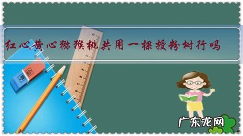 红心黄心猕猴桃共用一棵授粉树行吗?有什么方法?