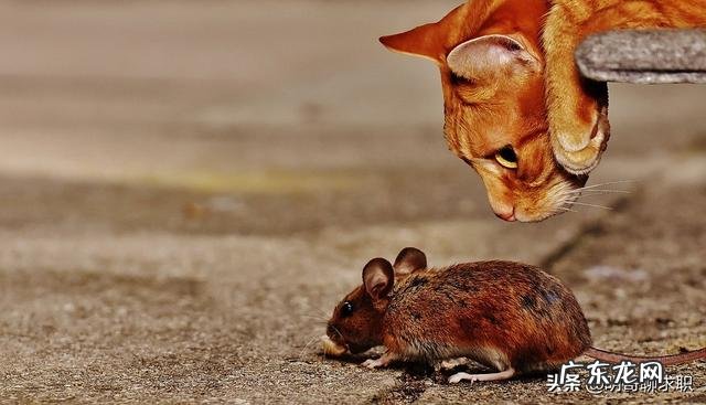 公司与我协商解除劳动合同，我应该怎么与公司协商解除合同？如何避免吃亏？