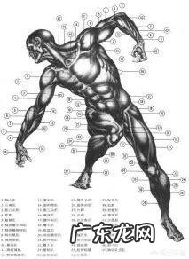 减肥要排毒，如何清洁肠道