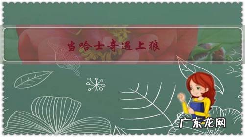 当哈士奇遇上狼，会有怎样的奇遇？