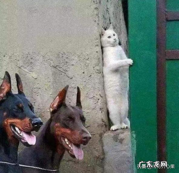 有什么好的段子,发出来大家参考一下?