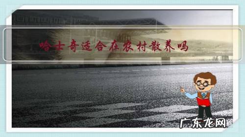 哈士奇适合在农村散养吗?吃一些剩菜剩饭可以吗?