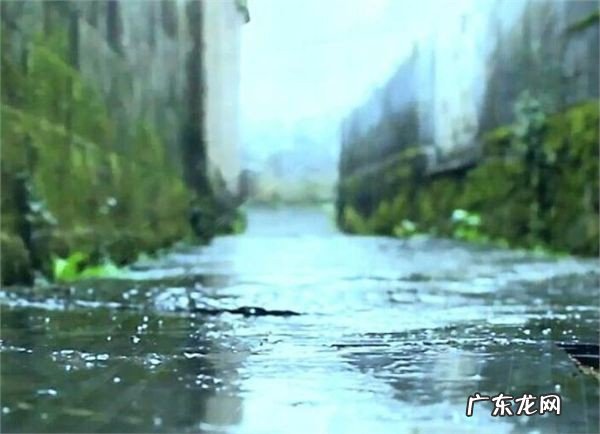 雨水三候指的是什么