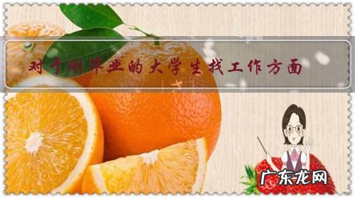 对于刚毕业的大学生找工作方面,有什么好的建议吗?