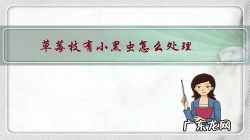 草莓叶子长虫了怎么办 草莓枝有小黑虫怎么处理?