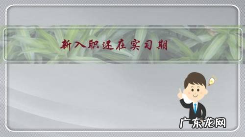 新入职还在实习期,年终奖不多,就去找领导质问,你怎么看这种行为?