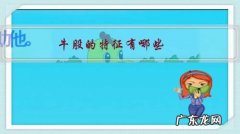 牛股特征与共性 牛股的特征有哪些？