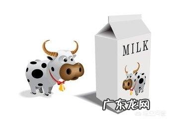 早上给孩子喝什么汤营养又丰富?