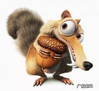 减肥药这么多，到底该选哪个