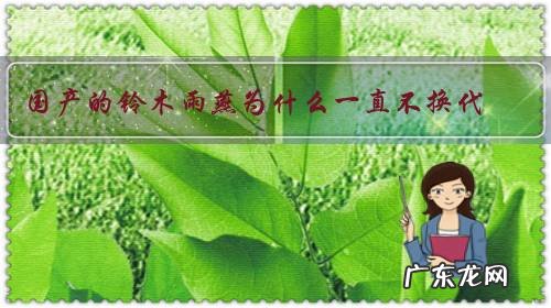 国产的铃木雨燕为什么一直不换代?