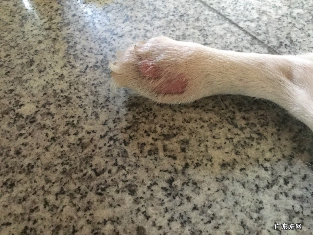 怎么处理羊蹄的毛