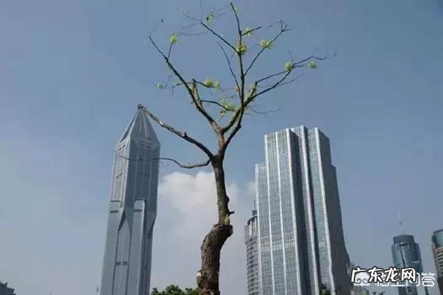 小白怎么学习摄影？