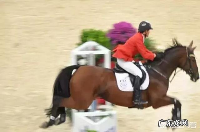 小白怎么学习摄影?