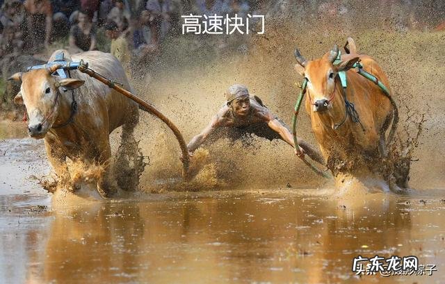 小白怎么学习摄影?