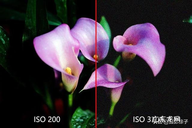 小白怎么学习摄影?