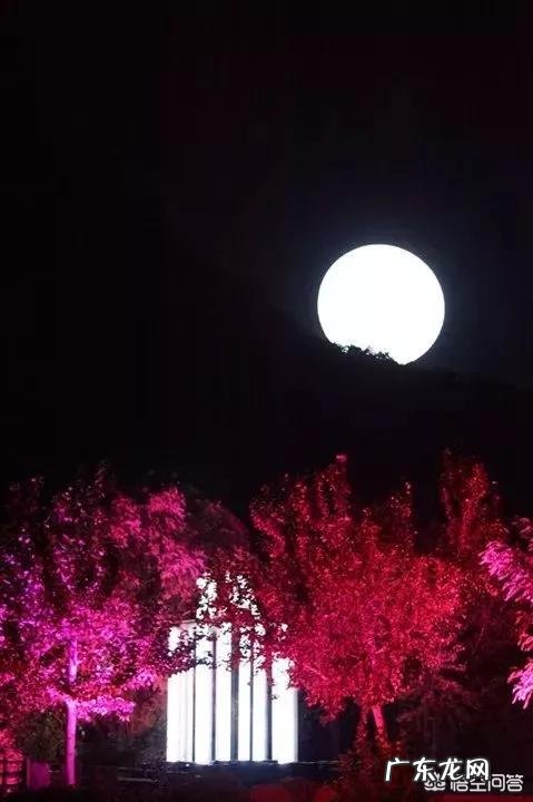 小白怎么学习摄影？