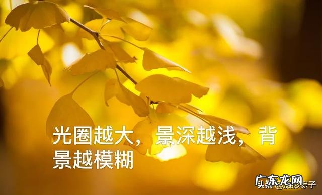 小白怎么学习摄影?