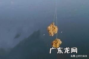 为何饵料钓鱼人越来越多?和饵料比蚯蚓钓鱼究竟输在哪里?