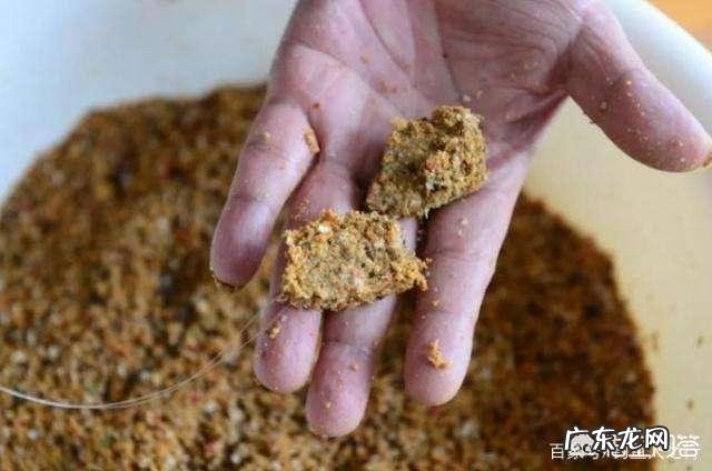 为何饵料钓鱼人越来越多?和饵料比蚯蚓钓鱼究竟输在哪里?