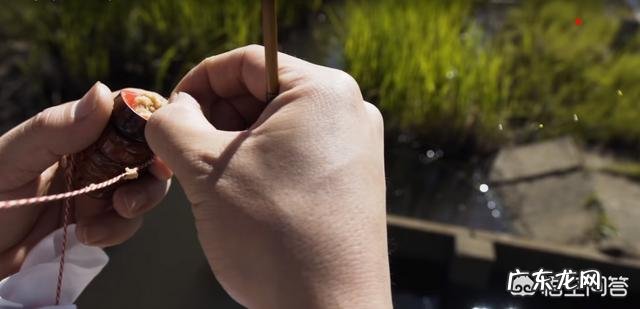为何饵料钓鱼人越来越多?和饵料比蚯蚓钓鱼究竟输在哪里?