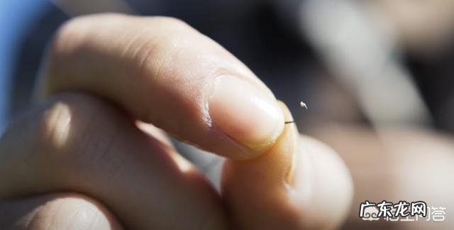 为何饵料钓鱼人越来越多?和饵料比蚯蚓钓鱼究竟输在哪里?