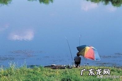 为何饵料钓鱼人越来越多？和饵料比蚯蚓钓鱼究竟输在哪里？