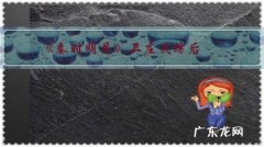 《秦时明月》卫庄失踪后，赤练为什么一直要找他？