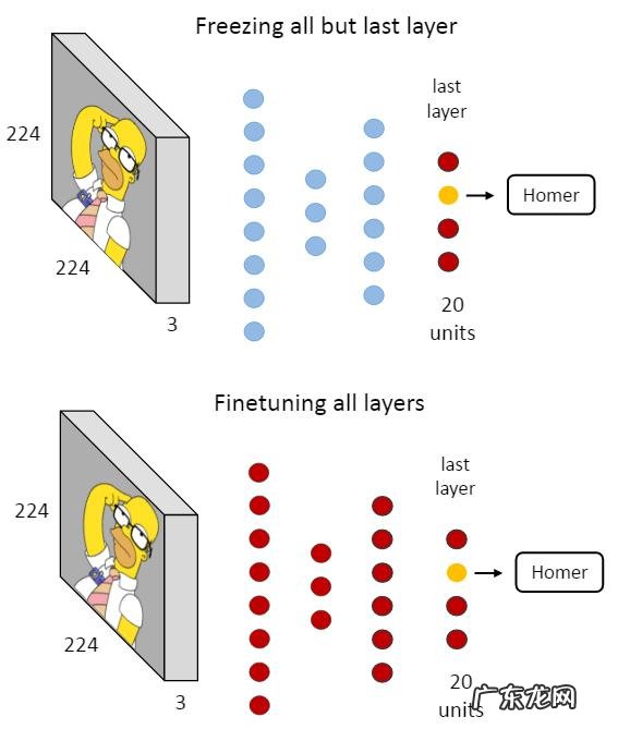 为什么那么多农商行而不合并成一家农商总行