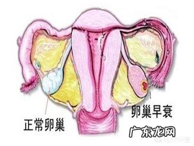 卵巢早衰的原因是什么,如何保养