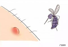 为啥有些人容易被蚊虫叮咬