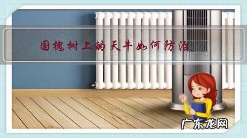 国槐树上的天牛如何防治?