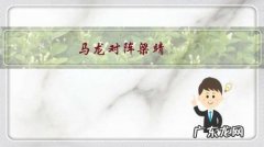 马龙对阵梁靖崑，第五局裁判多次警告发球违例，马龙挑战鹰眼失败。当时发生了什么？