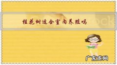 桂花树能在室内养吗 桂花树适合室内养殖吗？