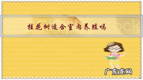 桂花树能在室内养吗 桂花树适合室内养殖吗?