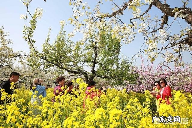 清明节是否还放假呢?