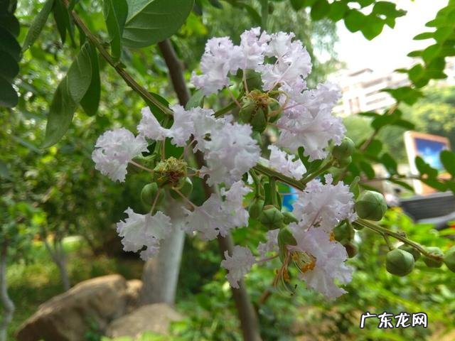 一个城市的印象你是通过什么判别的?