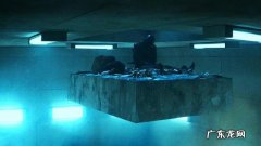 2020年最好看的电影是哪部