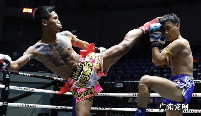 柔道散打泰拳哪个校园防身好