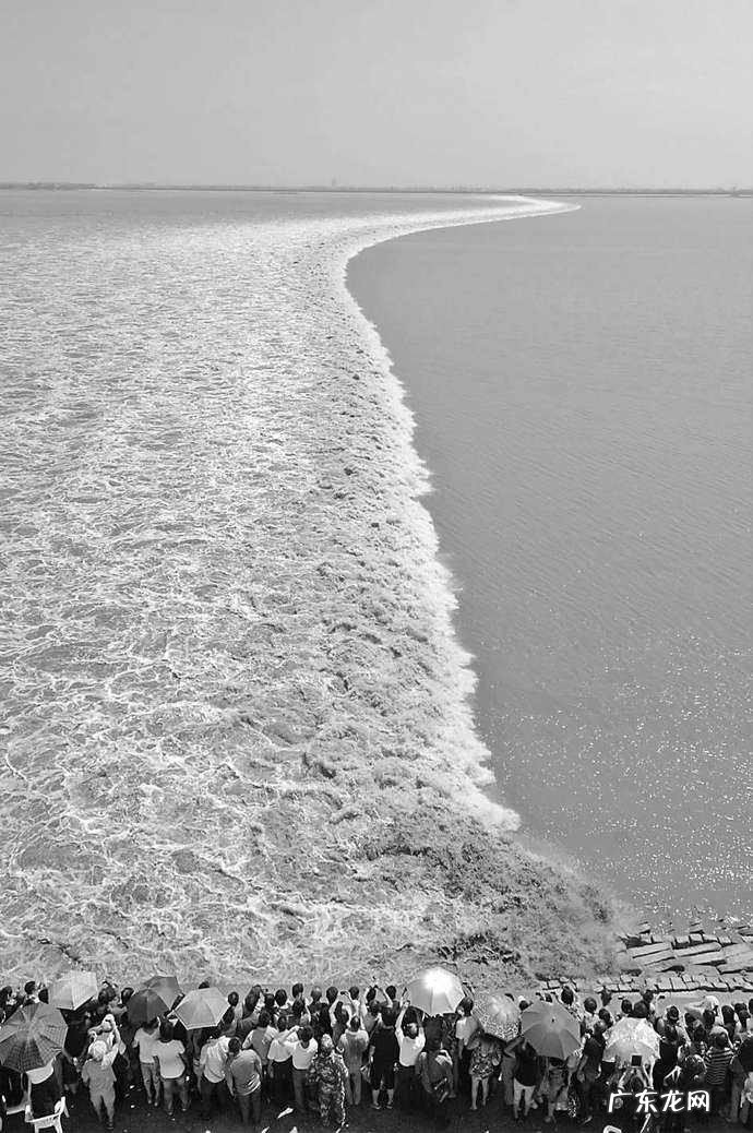 钱塘江大潮的资料